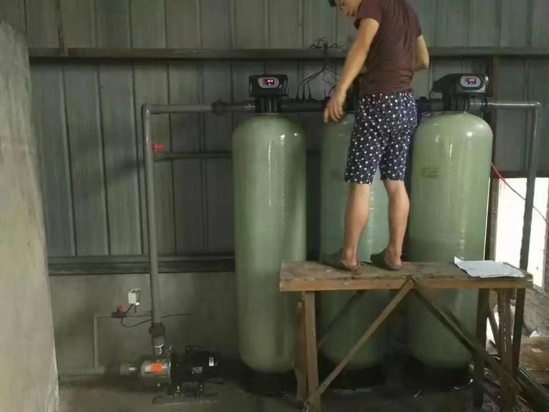 安徽省青陽縣丁橋米粉廠-3噸純水設備(圖2)