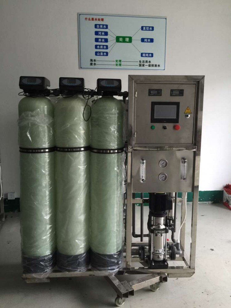 0.5噸反滲透純水設備(圖1)